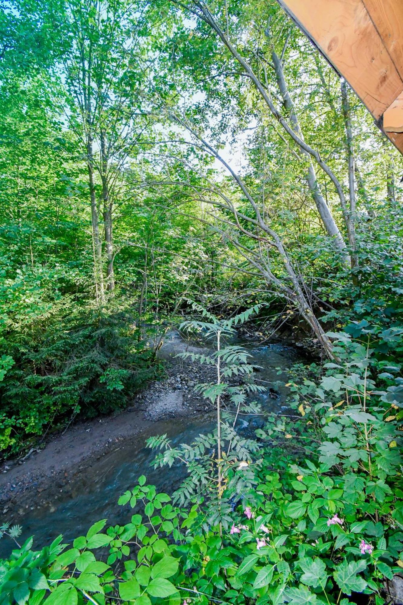 Apartamenty Jasiowe Turnie Nr 3 I Nr 10 Krupowki 3Km Kościelisko Esterno foto