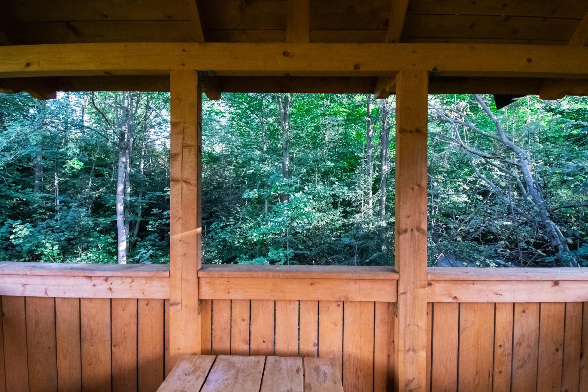 Apartamenty Jasiowe Turnie Nr 3 I Nr 10 Krupowki 3Km Kościelisko Esterno foto
